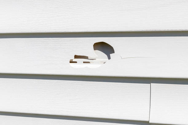 Best Moving and Downsizing Cleanouts  in Mdleton, ID